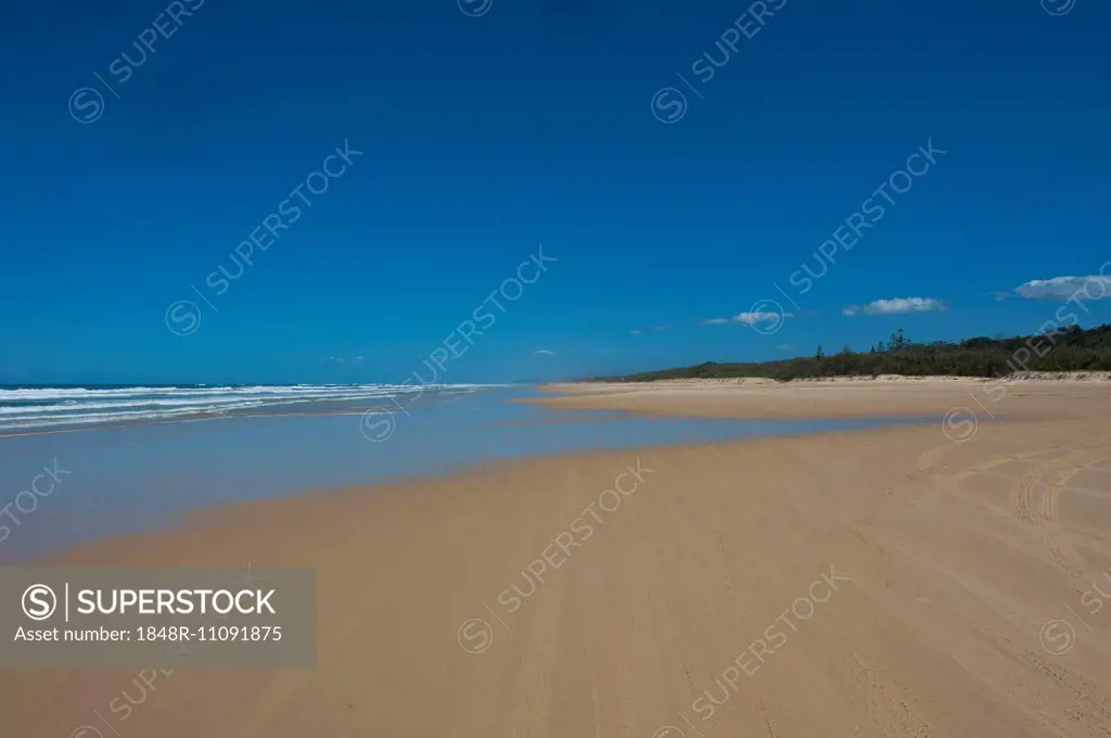 75 Mile Beach, Fraser Island, Queensland, Australia