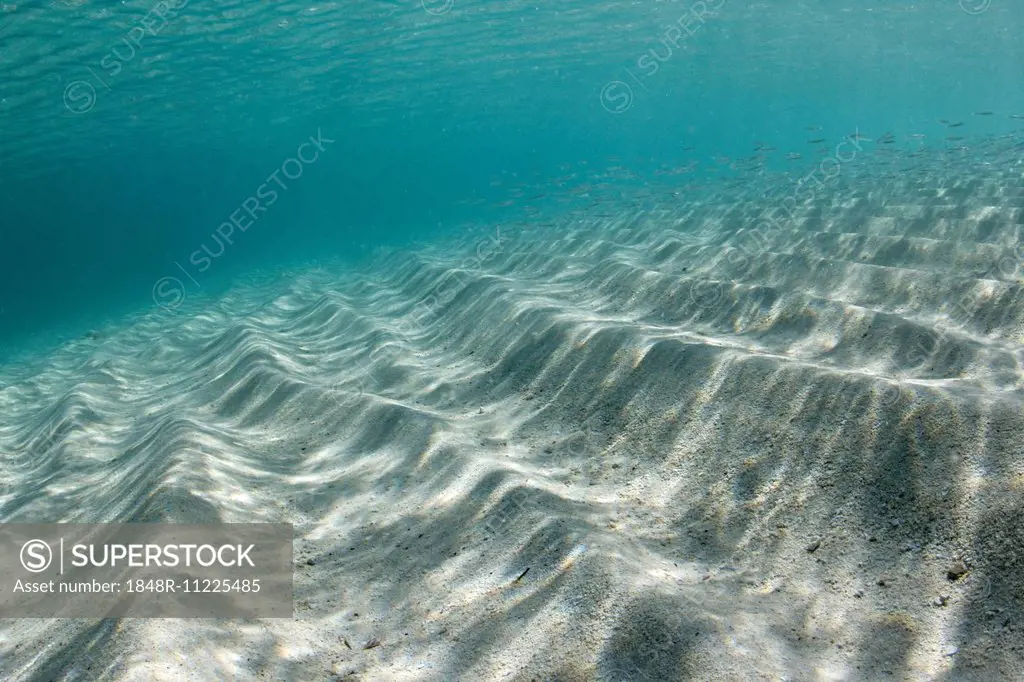 Underwater ripples in the sand, Bahamas