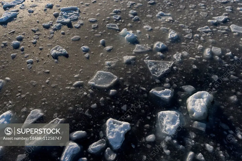 Freezing sea water, ice floes, pack ice, Arctic Ocean, Spitsbergen Island, Svalbard Archipelago, Svalbard and Jan Mayen, Norway