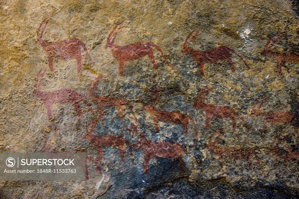 Ancient rock paintings at Qohaito, Eritrea