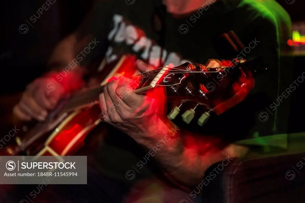 Guitarist, detail view, Germany