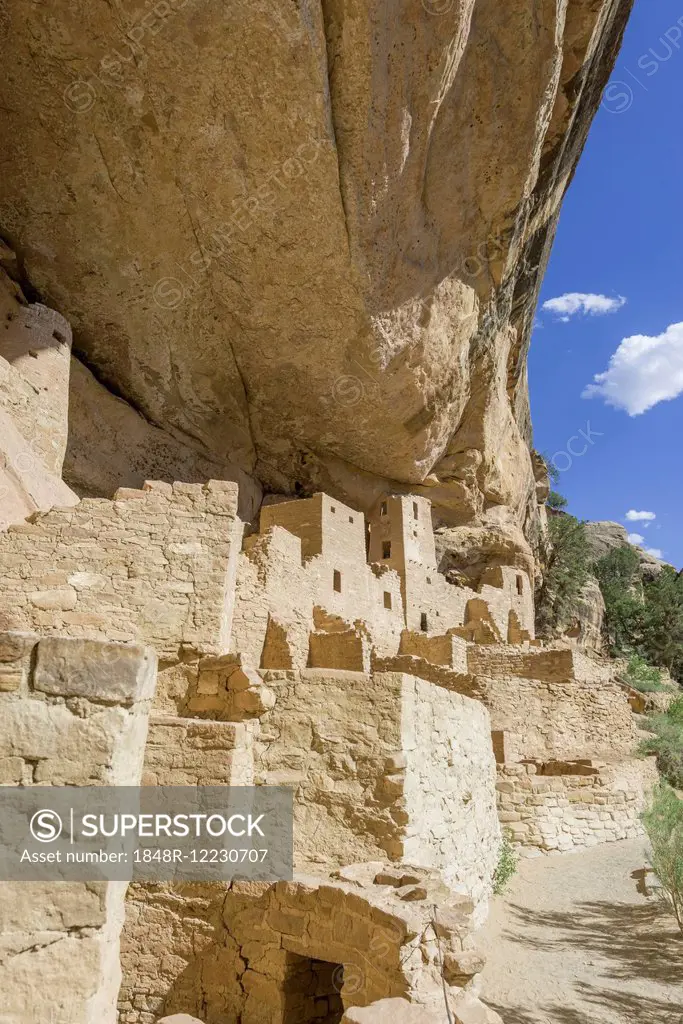 Cliff Palace cliff dwelling, Mesa Verde National Park, Colorado, United States