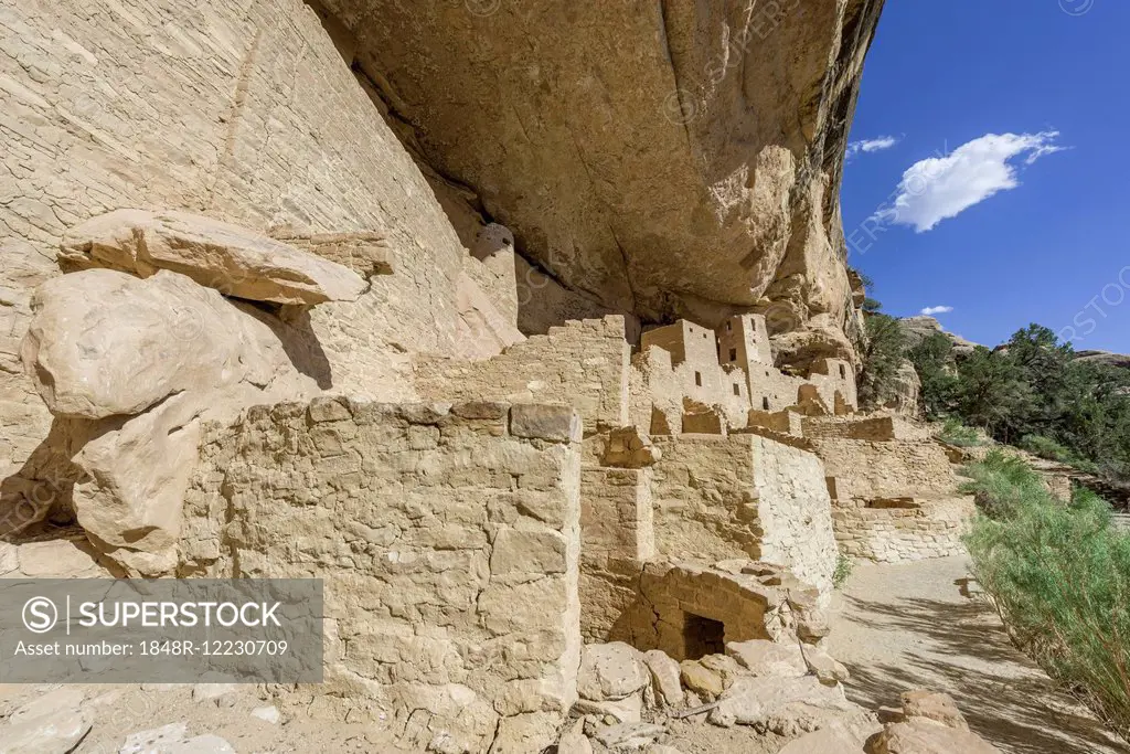 Cliff Palace cliff dwelling, Mesa Verde National Park, Colorado, United States