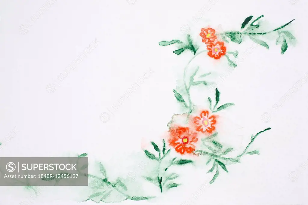 Flowers, illustration