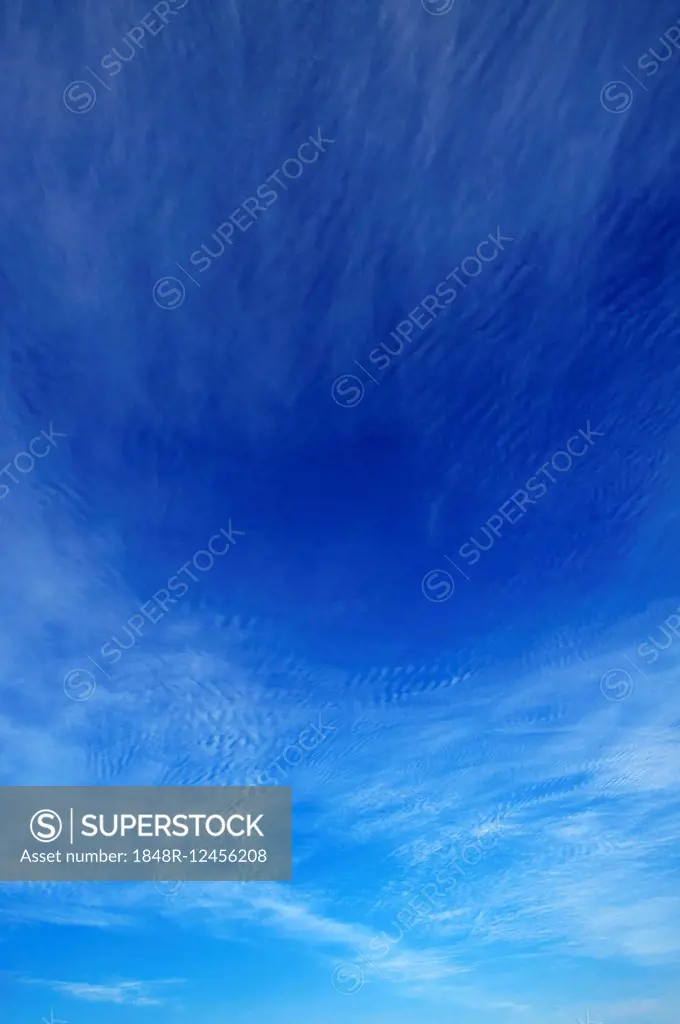 Cirrus, cirrus floccusam, in a blue sky