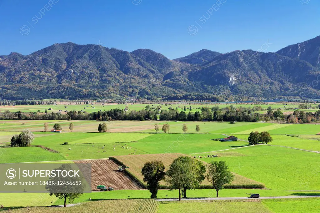 View of the Kochelmoos region, Upper Bavaria, Bavaria, Germany