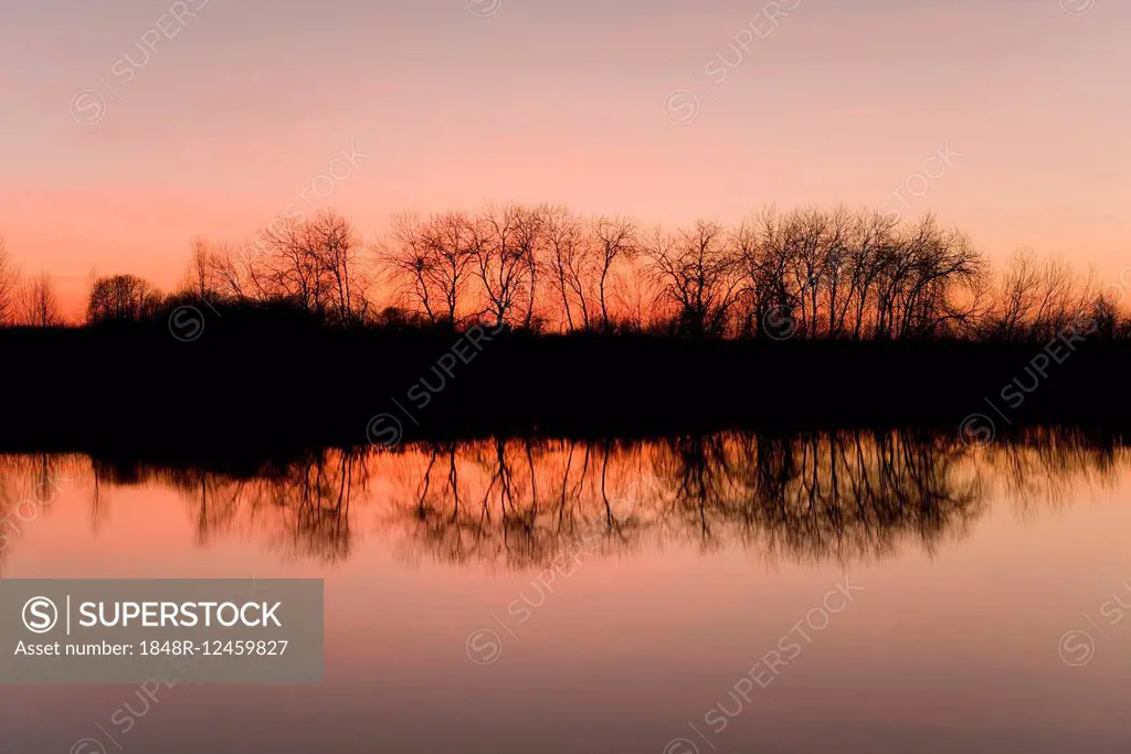 Reflection of trees in a pond, against an evening sky, Barnbruchswiesen meadows, Barnbruch Nature Reserve, near Wolfsburg, Lower Saxony, Germany