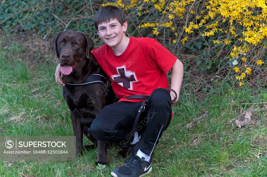 Boy, 11 years, with a Labrador, Germany