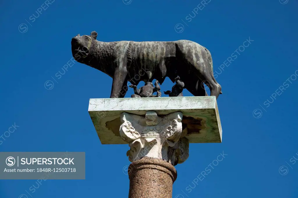Column with sculptures of Remus, Romulus and the she-wolf, Pisa, Tuscany, Italy