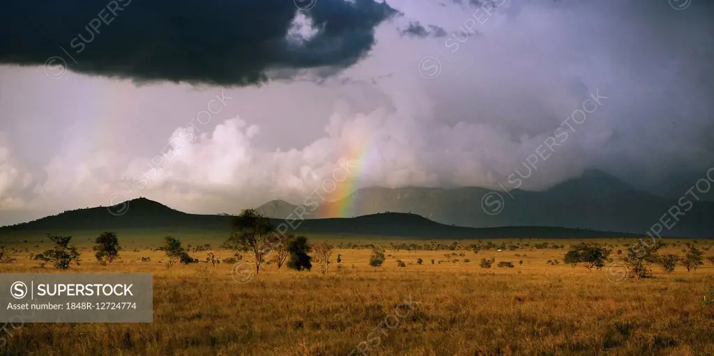 Vast landscape with Lions Bluff Hill in stormy weather, Lumo Conservancy, Tsavo, Kenya