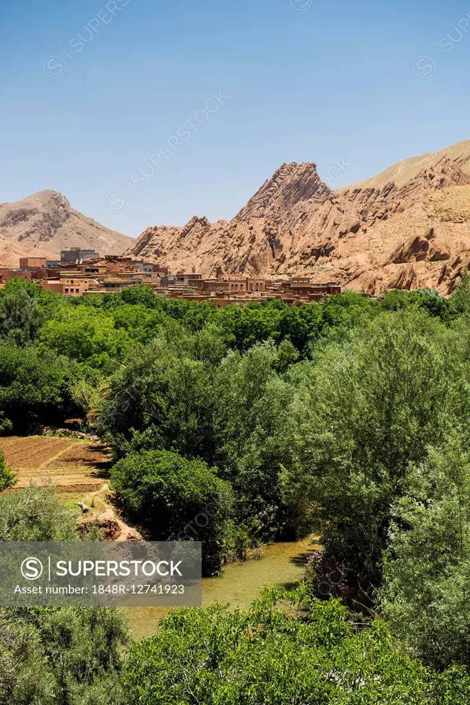 Oasis in Dades Gorge, Dades Valley, Boumalne-du-Dades behind, Morocco