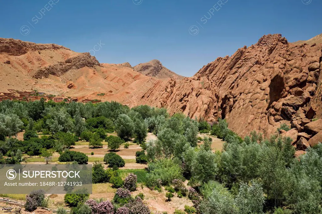 Oasis in Dades Gorge, Dades Valley, Boumalne-du-Dades, Morocco