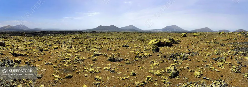Caldera Colorada, moss covered lava rock, volcanic mountains, Mancha Blanca, Lanzarote, Canary Islands, Spain