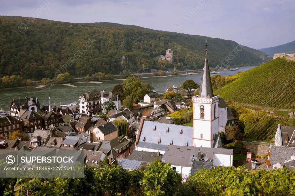 View of Assmannshausen with parish church of the Holy Cross and the Rhine Valley, Rudesheim on the Rhein, UNESCO World Heritage, Hesse, Germany