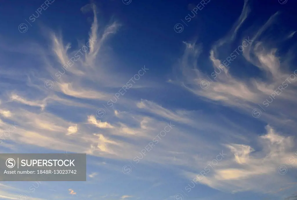 Cirrus fibratus and cirrus uncinus clouds, Upper Bavaria, Bavaria, Germany