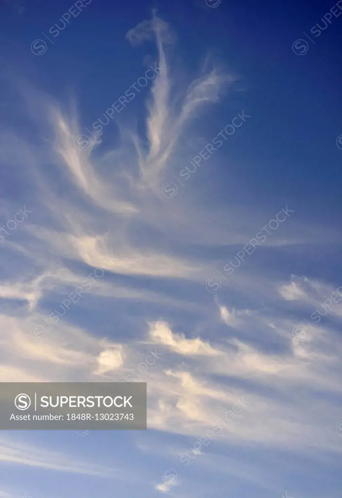 Cirrus fibratus and cirrus uncinus clouds, Upper Bavaria, Bavaria, Germany