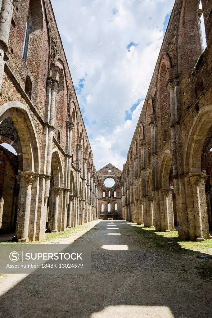 Ruins of the Cistercian Monastery Abbey of Saint Galgano, Abbazia di San Galgano, Chiusdino, Province of Siena, Tuscany, Italy