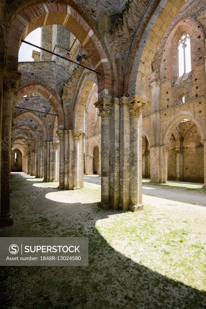 Ruins of the Cistercian Monastery Abbey of Saint Galgano, Abbazia di San Galgano, Chiusdino, Province of Siena, Tuscany, Italy