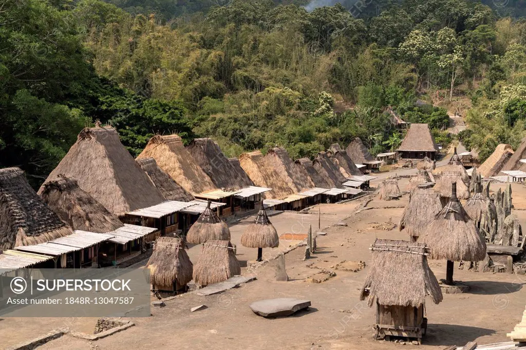 Village square with shrines and traditional thatched wooden houses, Ngada village Bena, Bajawa, Flores Island, Indonesia