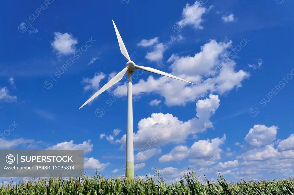 Wind power plant in corn field with cloudy sky, North Rhine-Westphalia, Germany