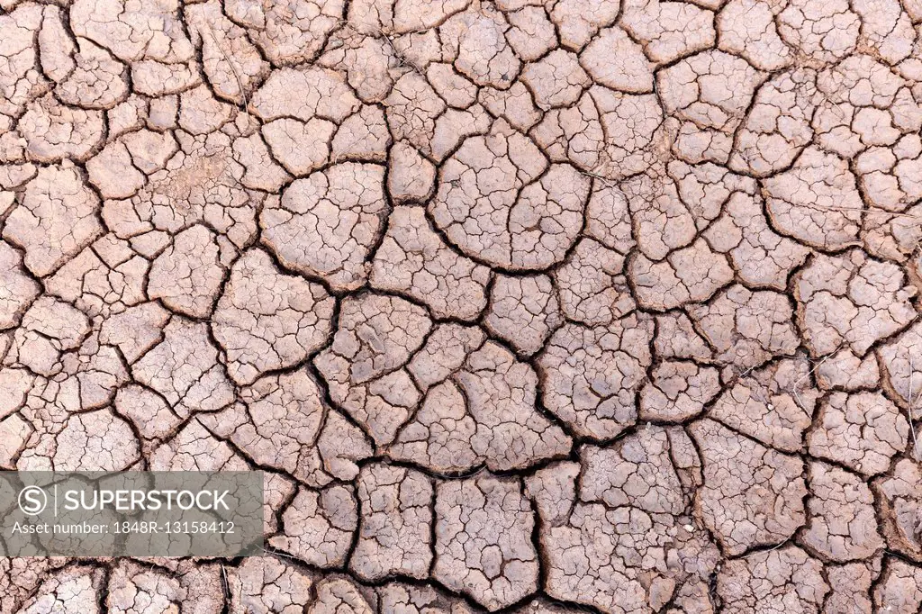 Dried earth, dry cracks in the ground, dried clay surface, Fuerteventura, Canary Islands, Spain