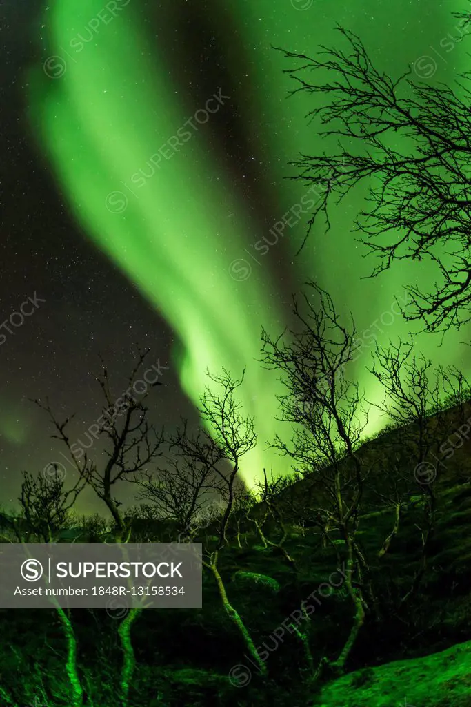 Aurora borealis at Tromvik, Norway