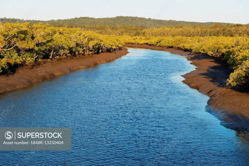River Wanggoolba Creek, Fraser Island, Queensland, Australia