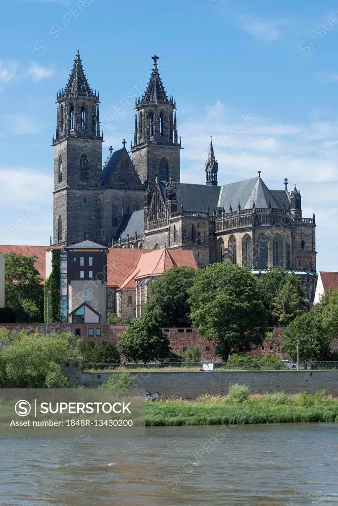 Magdeburg Cathedral with Elbe, oldest Gothic building in Germany, Magdeburg, Saxony-Anhalt, Germany