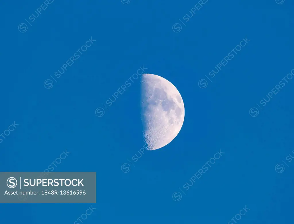 Waxing moon, crescent, Bavaria, Germany