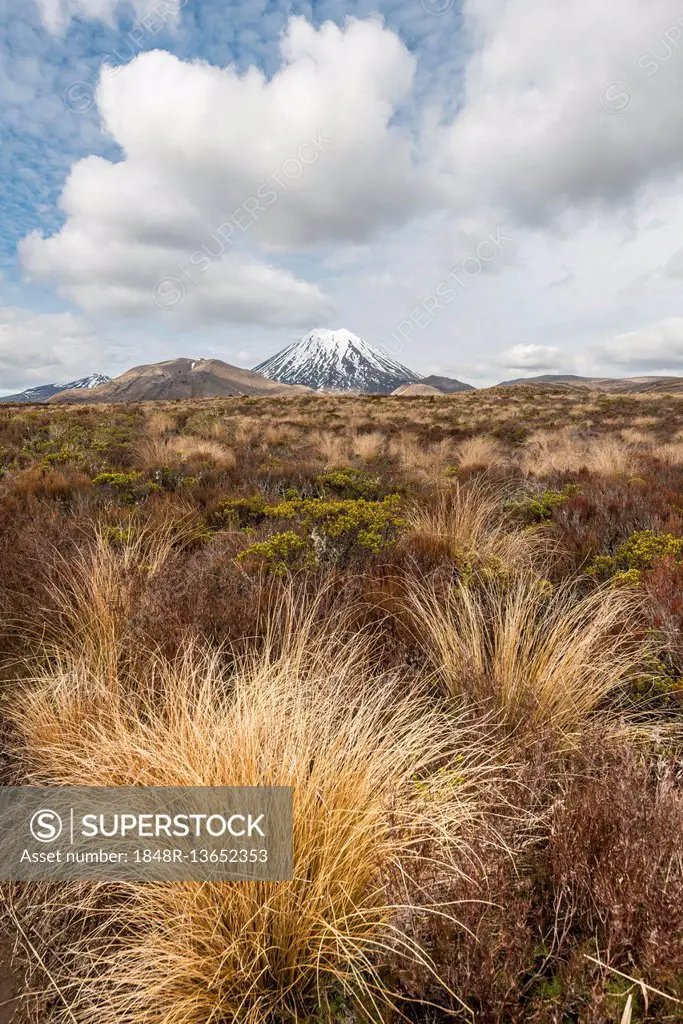 Volcano Mount Tongariro and Mount Ngauruhoe, Tongariro National Park, Southland, New Zealand