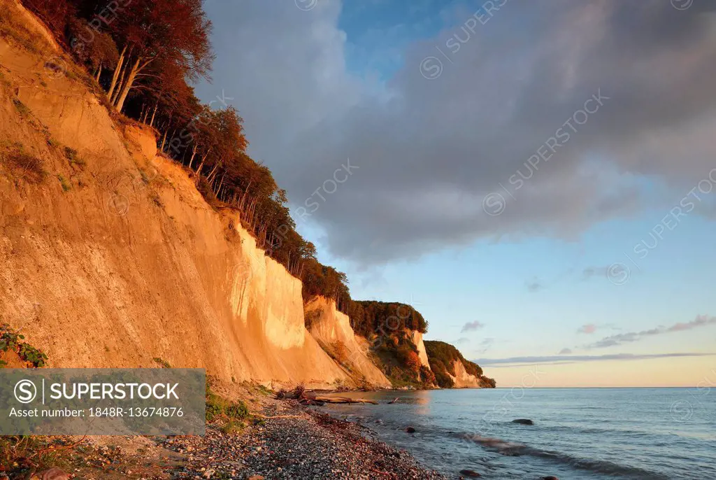 Chalk cliffs in the morning light, The Baltic Coast, Rügen in Sassnitz, Germany