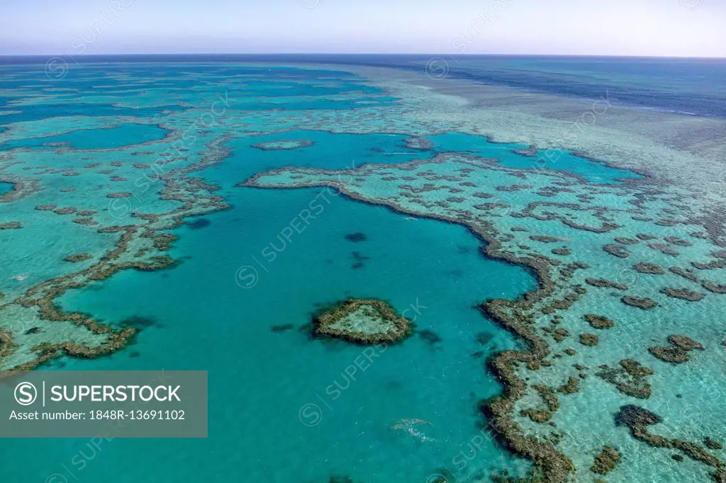 Coral Reef, Heart Reef, part of Hardy Reef, Outer Great Barrier Reef, Queensland, Australia