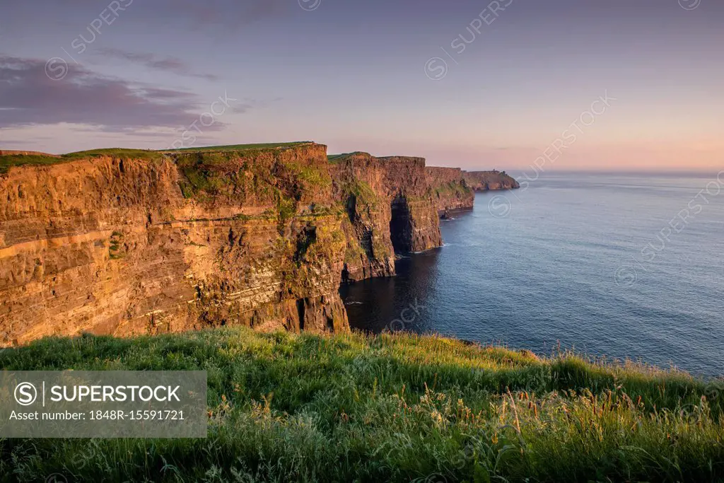 Cliffs of Moher in the evening light, County Clare, Republic of Ireland