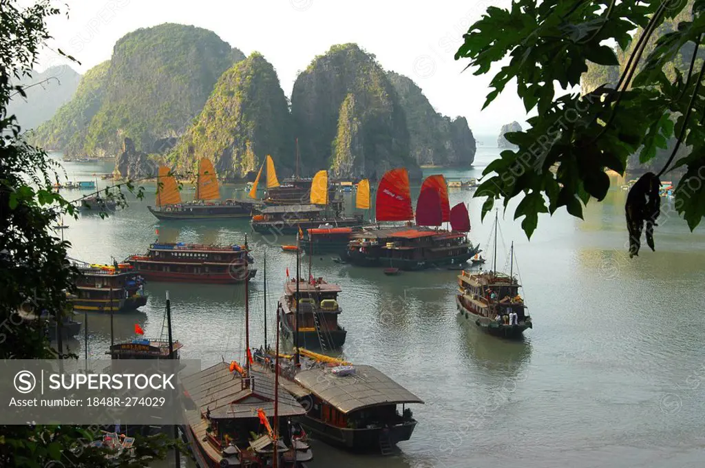 Port of junks Halong Bay Vietnam