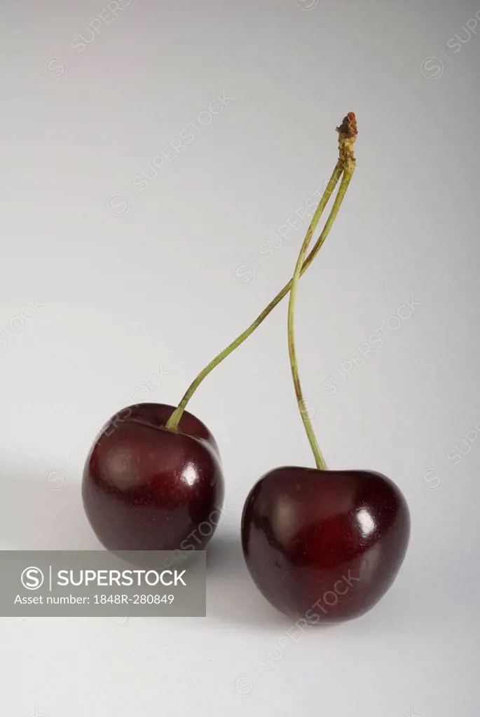 Pair of dark Sweetheart Cherries
