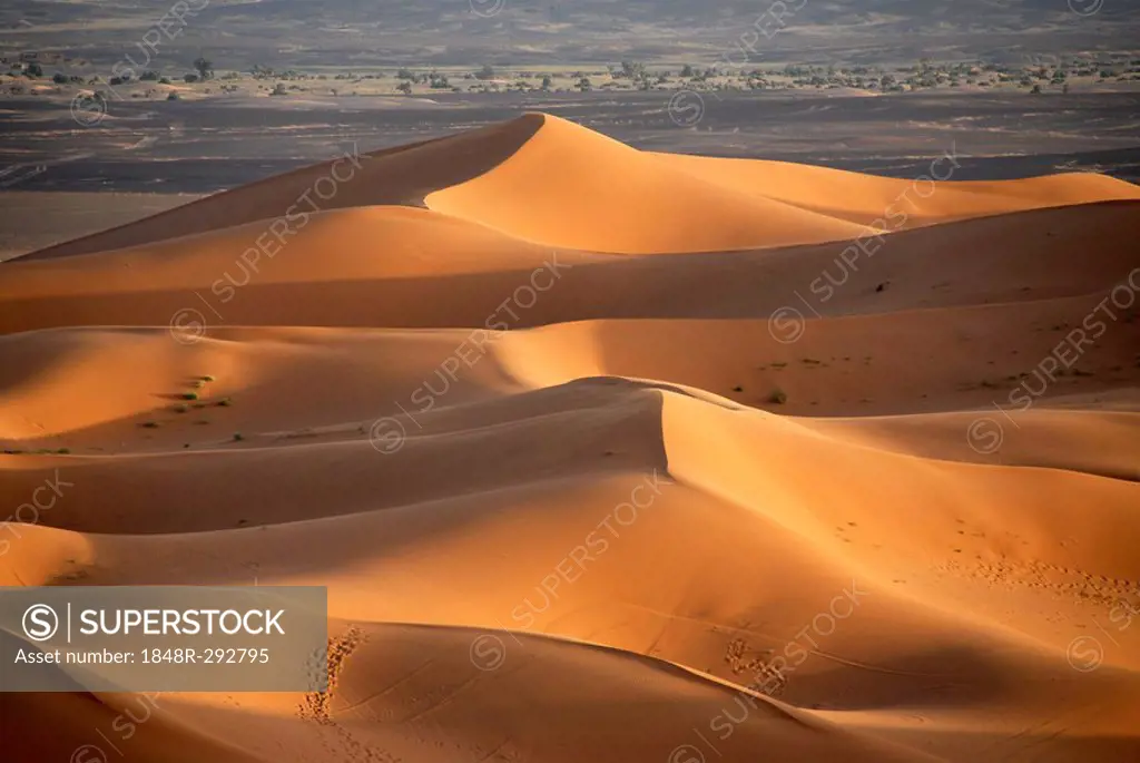 Sanddunes Erg Chebbi Merzouga Morocco