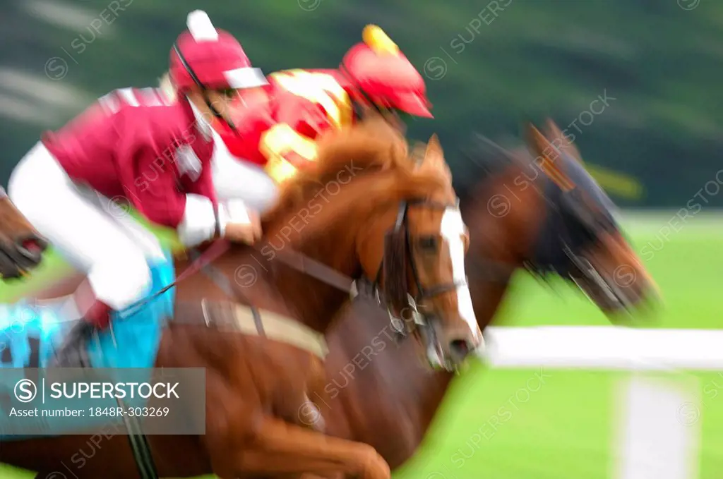 Jockeys at a gallop race, hosre race, racehorses in motion, detail