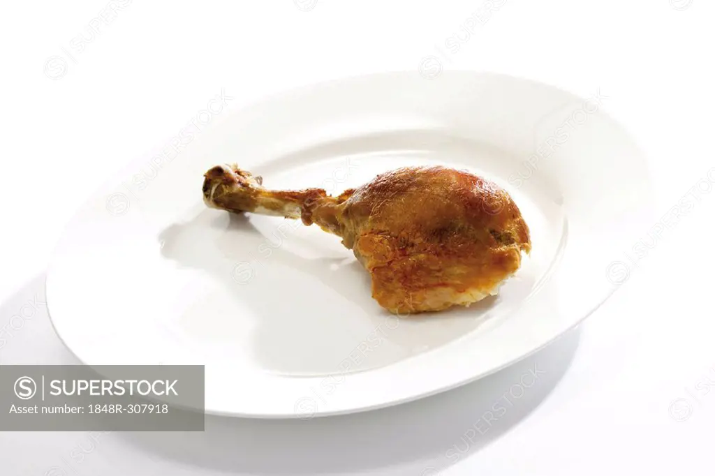 Roast turkey drumstick served on white plate