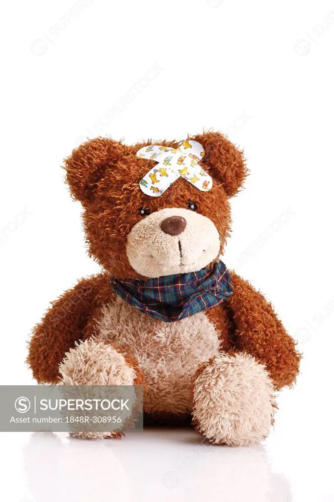 Teddy bear with band-aids on its head