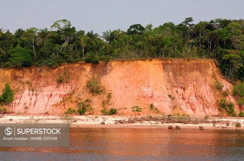 Soil profile Laterite soil under tropical rain forest South America
