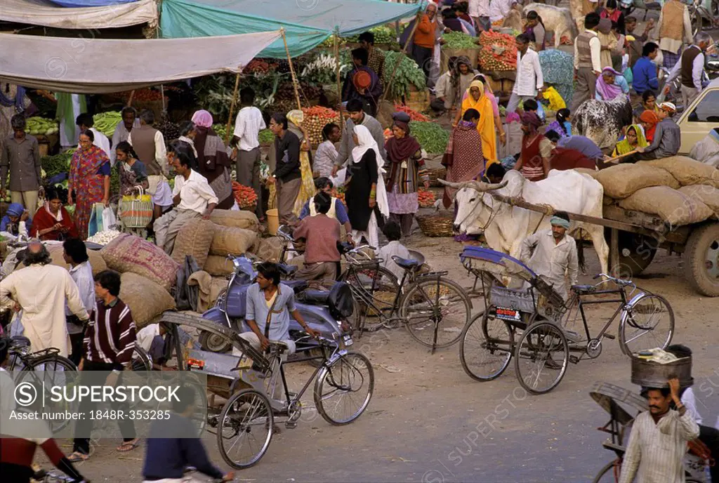 Street scene - Jaipur - Rajasthan - India