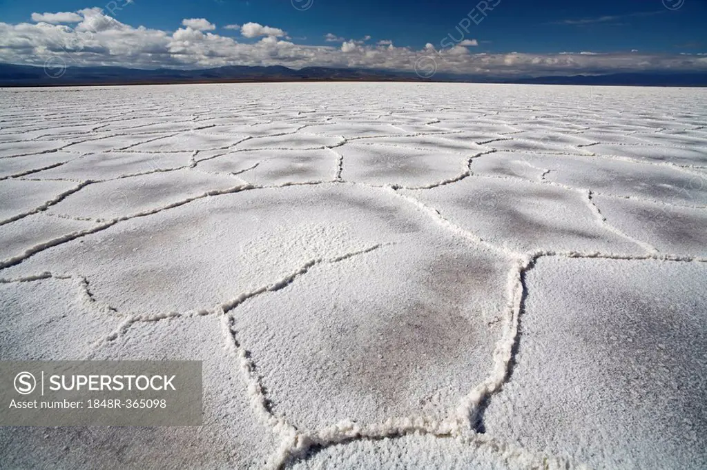 Salt structures on the salt lake Salinas Grandes, across the Andes, Jama pass (Paso de Jama), Argentina, South America