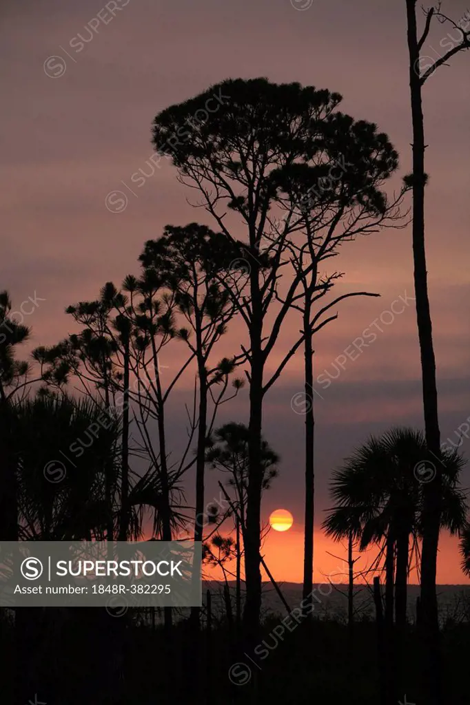 Sunrise on Cape San Blas, the forgotten coast, Panhandle, Florida, USA