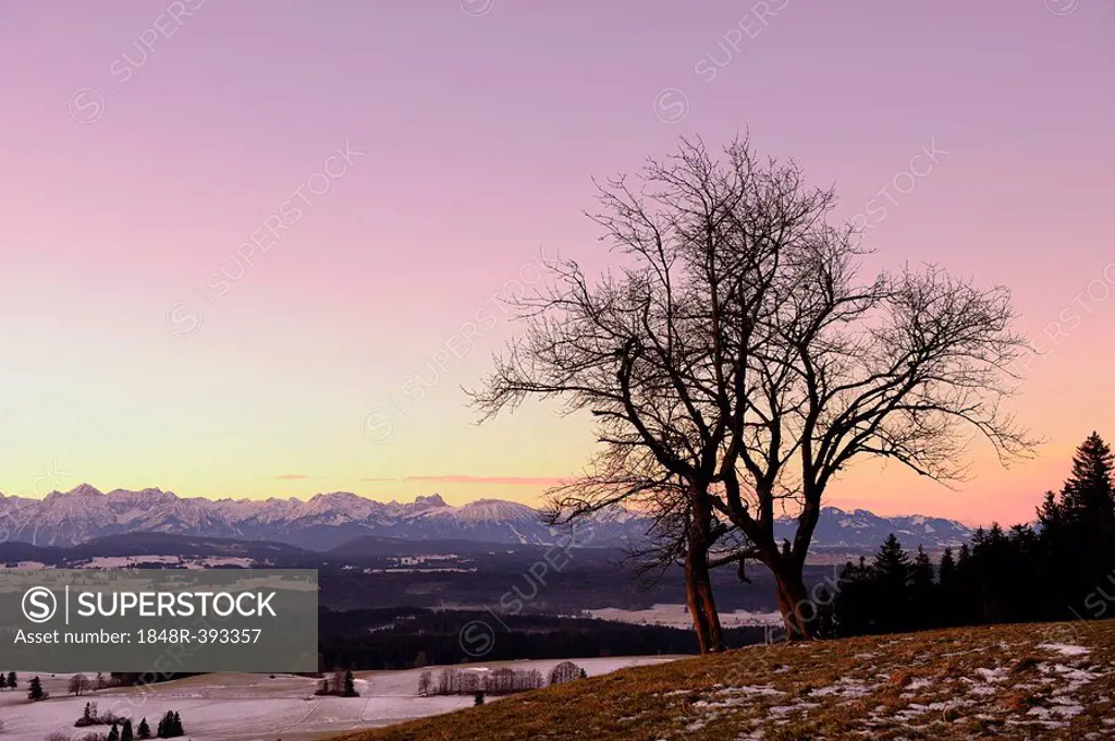 Sunrise above the alps, Auerberg, Markt Oberdorf, Allgaeu, Bavaria, Germany, Europe