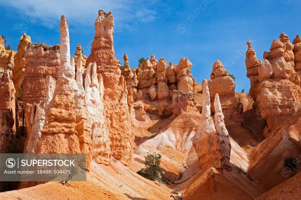Rocky landscape with hoodoos, Bryce Canyon National Park, Utah, USA