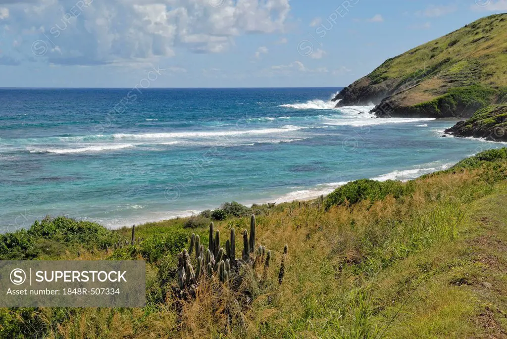 Coastal formation at Point Udall, the easternmost point of the island of St. Croix and the USA, U.S. Virgin Islands, USA