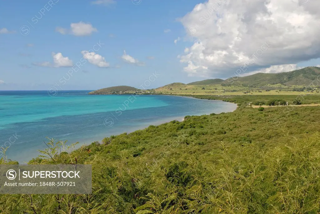 Coastline, North coast, St. Croix island, U.S. Virgin Islands, United States