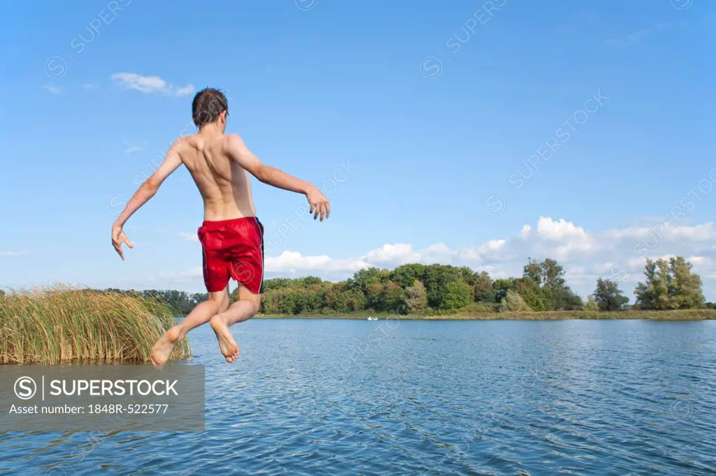 Boy jumping off a bridge into a lake, Teterow, Mecklenburg-Western Pomerania, Germany, Europe
