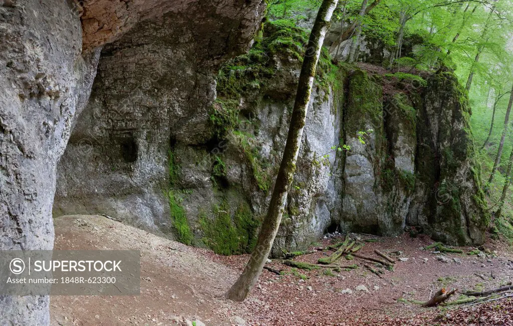 Grotto in the rocks below Burg Wildenstein Castle, Danube Valley, Baden-Wuerttemberg, Germany, Europe