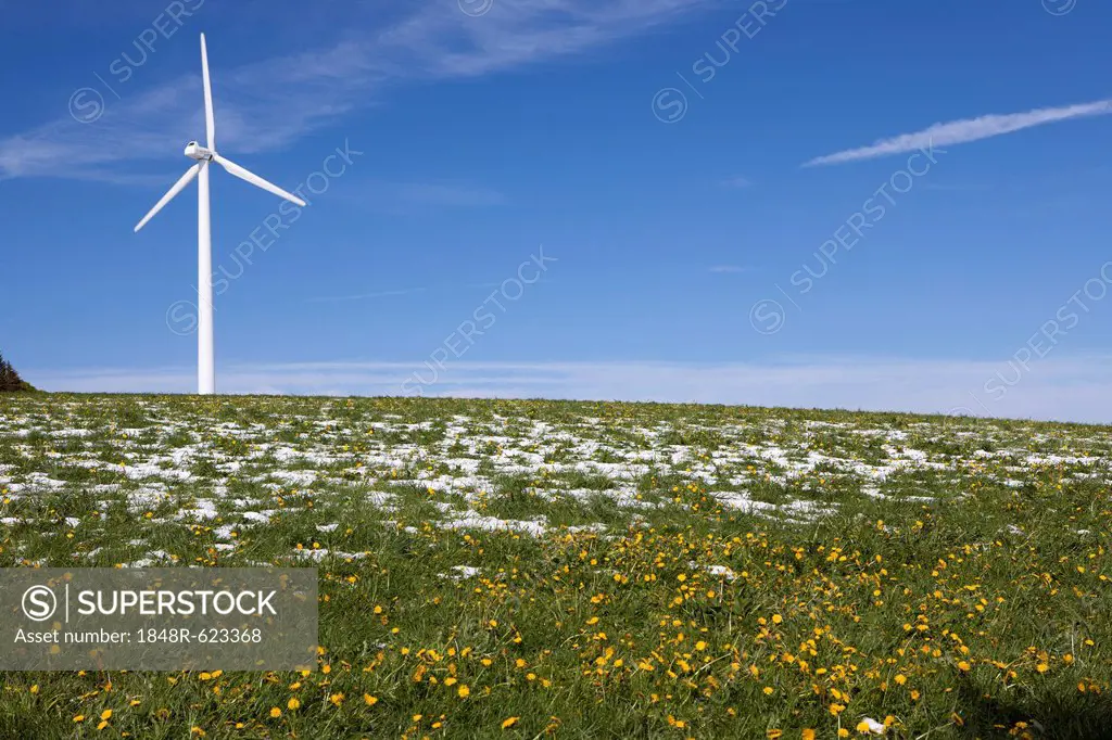 Wind turbine on the plateau at Mt Kandel, Black Forest, Baden-Wuerttemberg, Germany, Europe